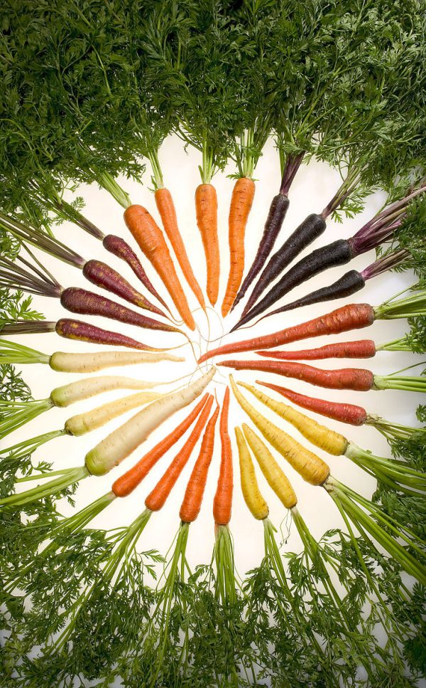 carrots multi colored